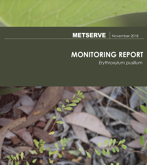 Rio Tinto – Monitoring Report